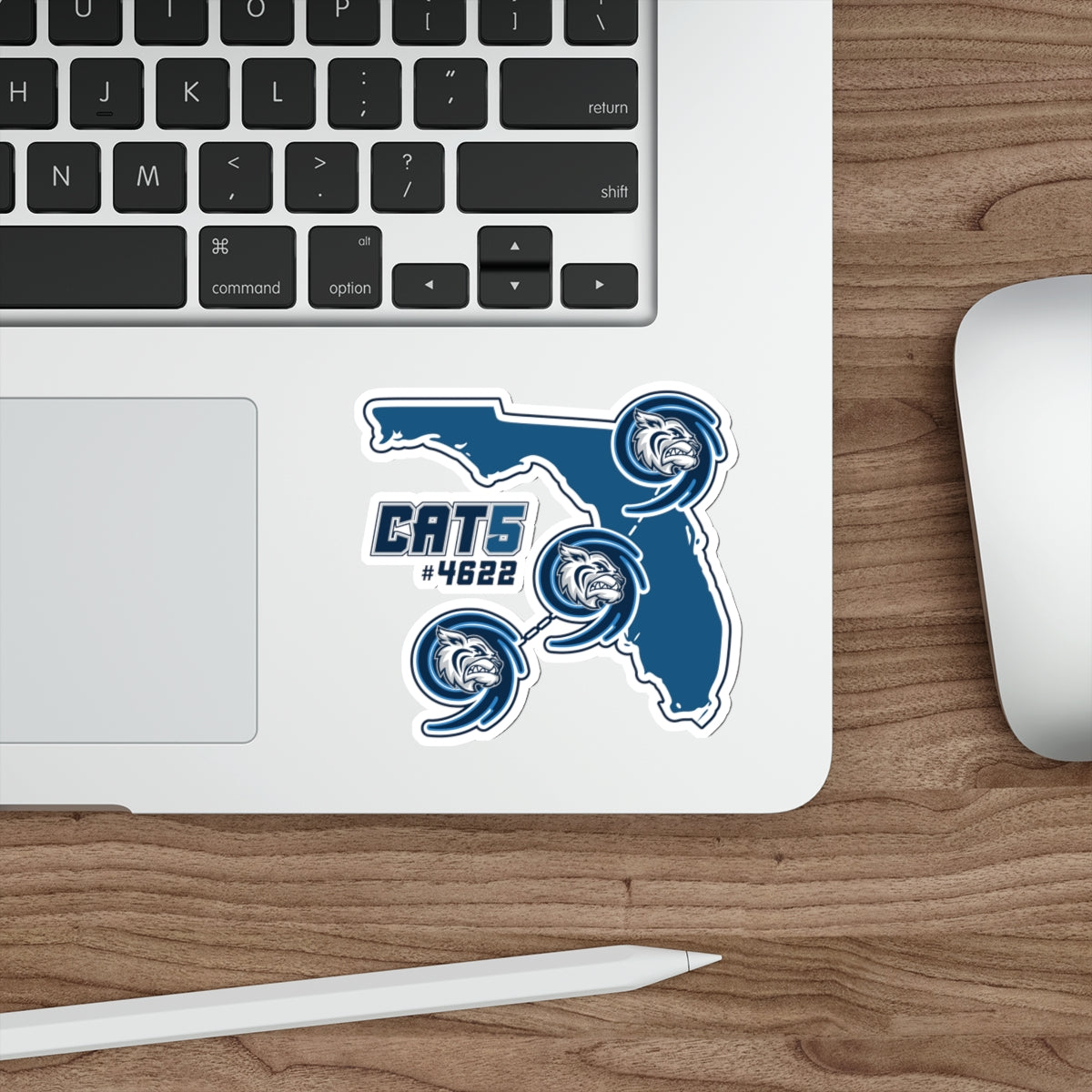 Academy At The Lakes Die-Cut Sticker