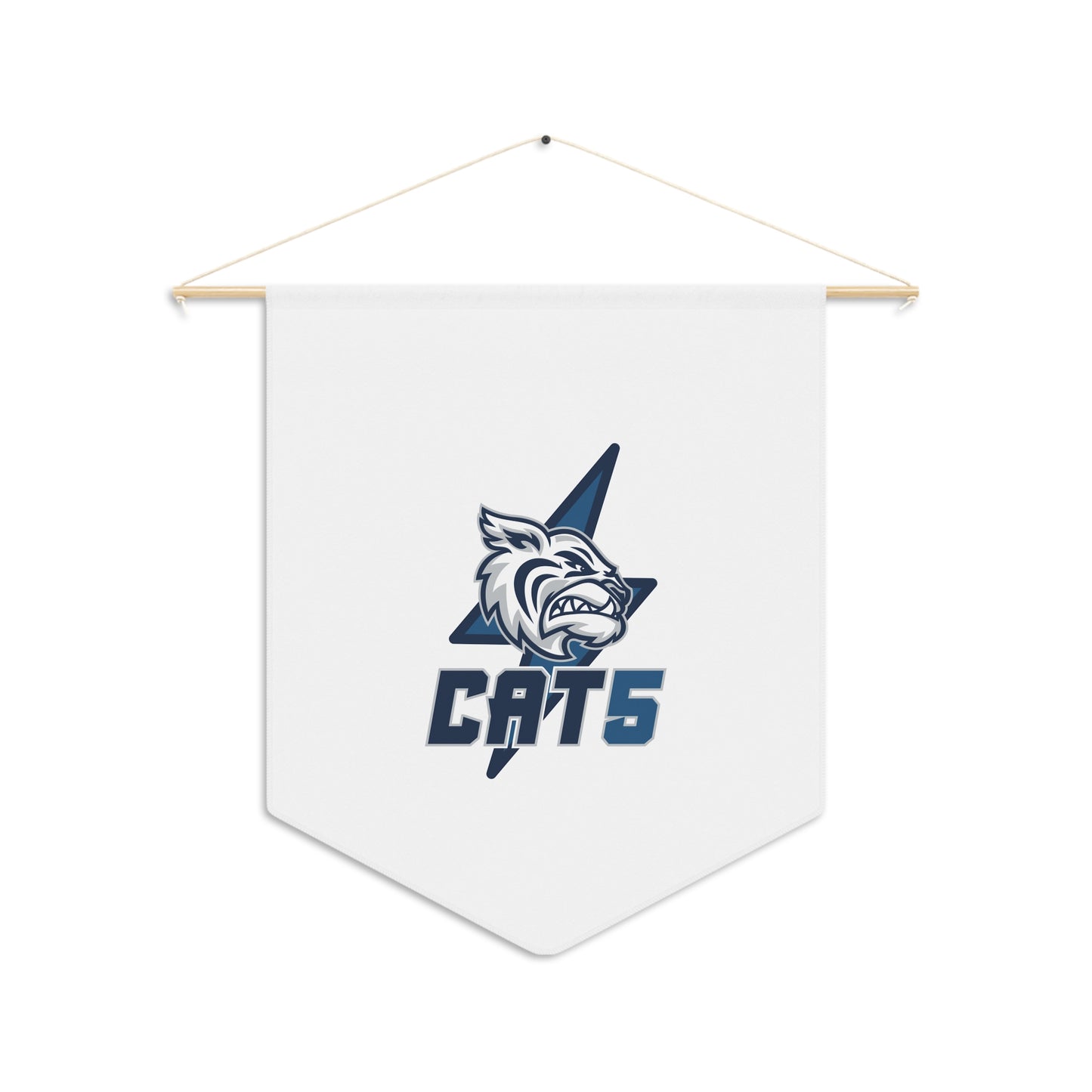 Academy at the Lakes Pennant