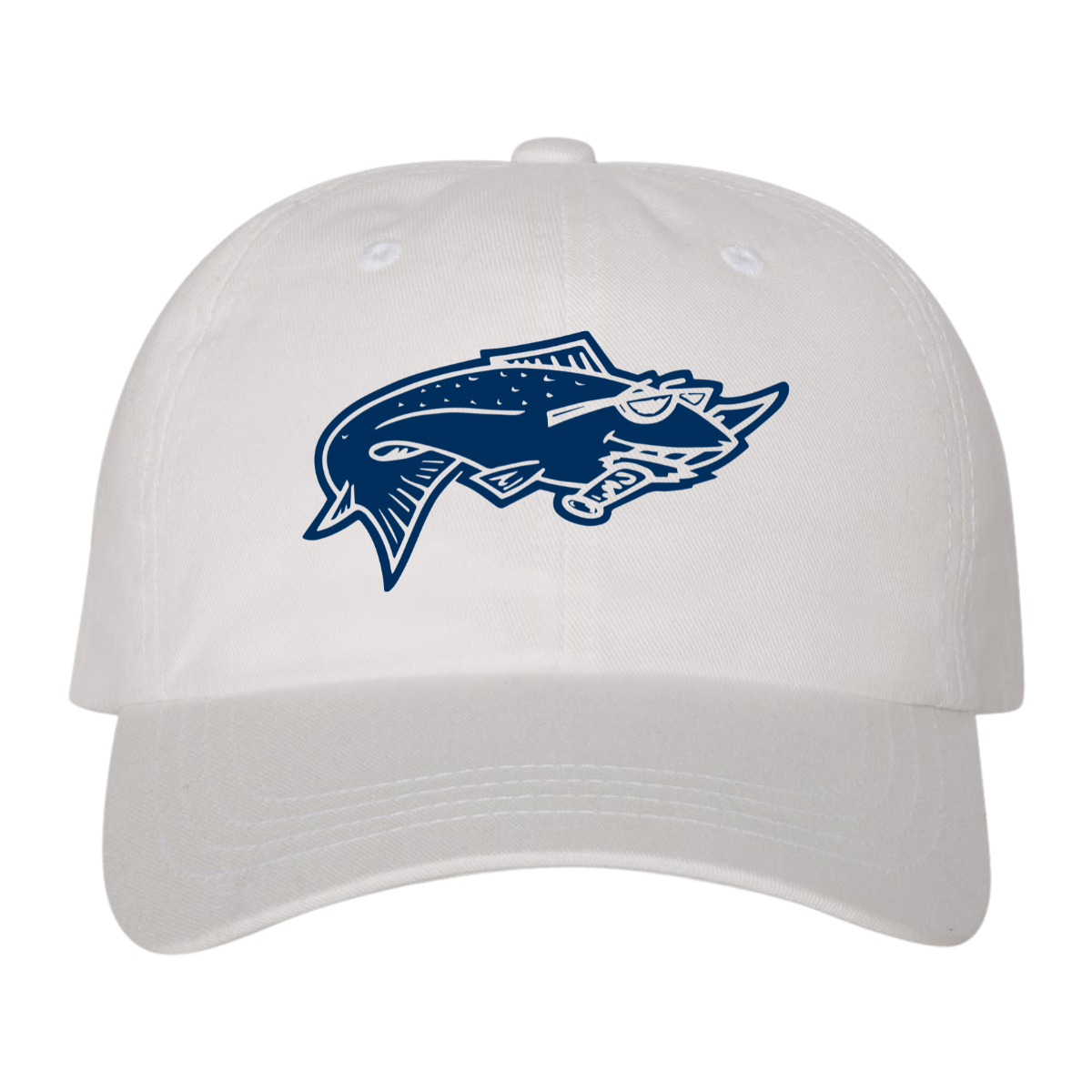 Sun Valley Community School YP Classics Dad's Cap