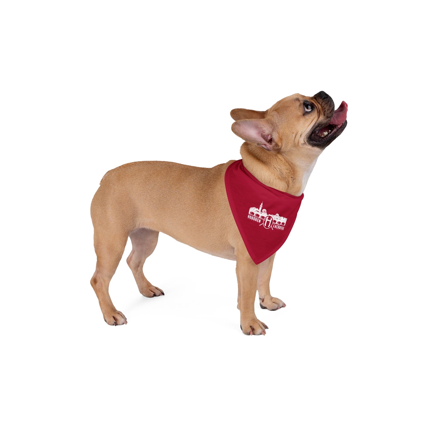Hoboken Lacrosse Pet Bandana