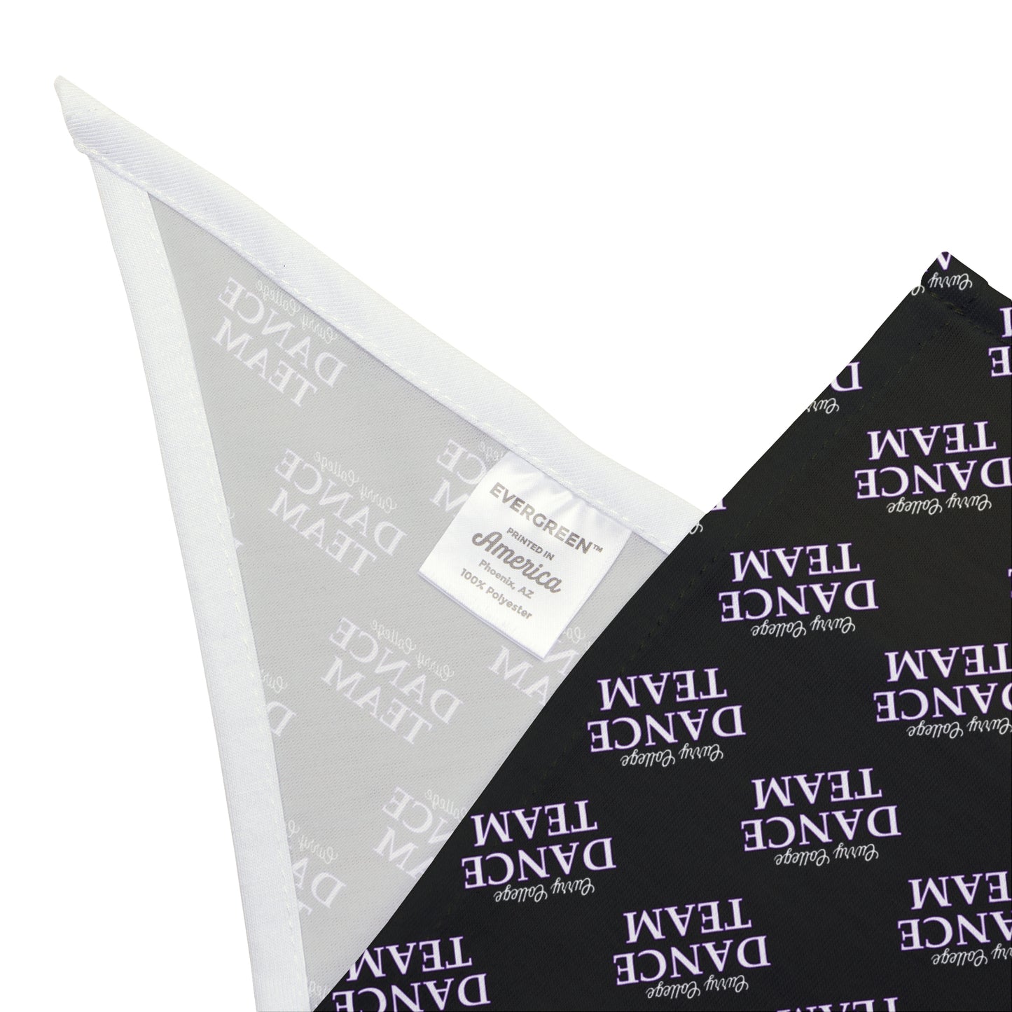 CC Dance Pet Bandana