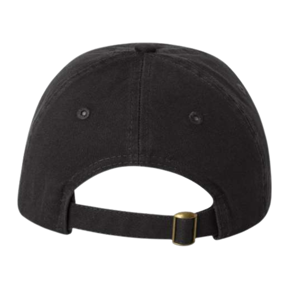 Sun Valley Community School Valucap Dad Hat