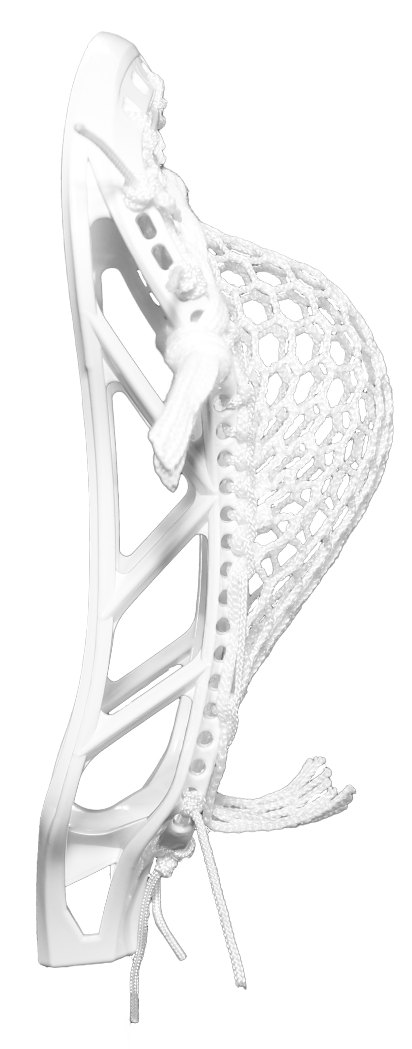 The Singularity (Strung)