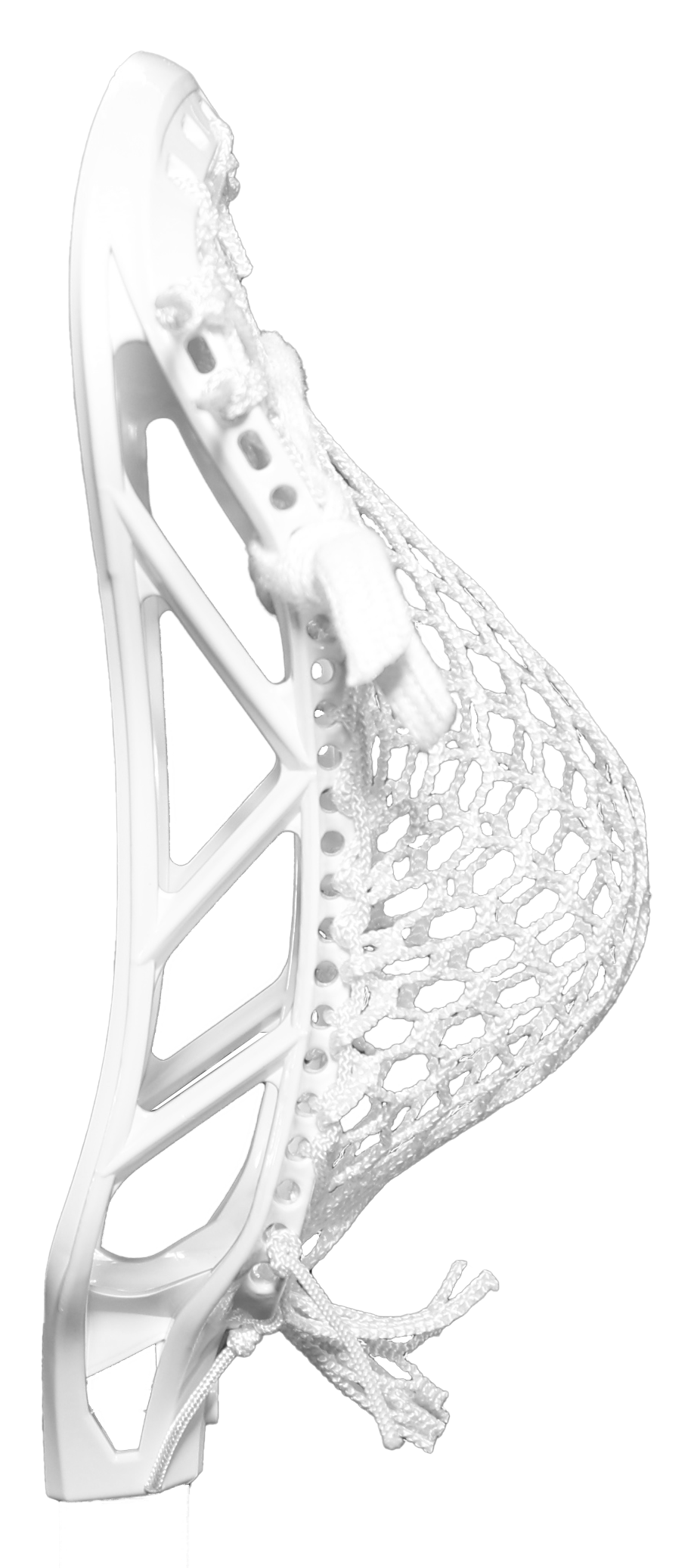 The Singularity (Strung)