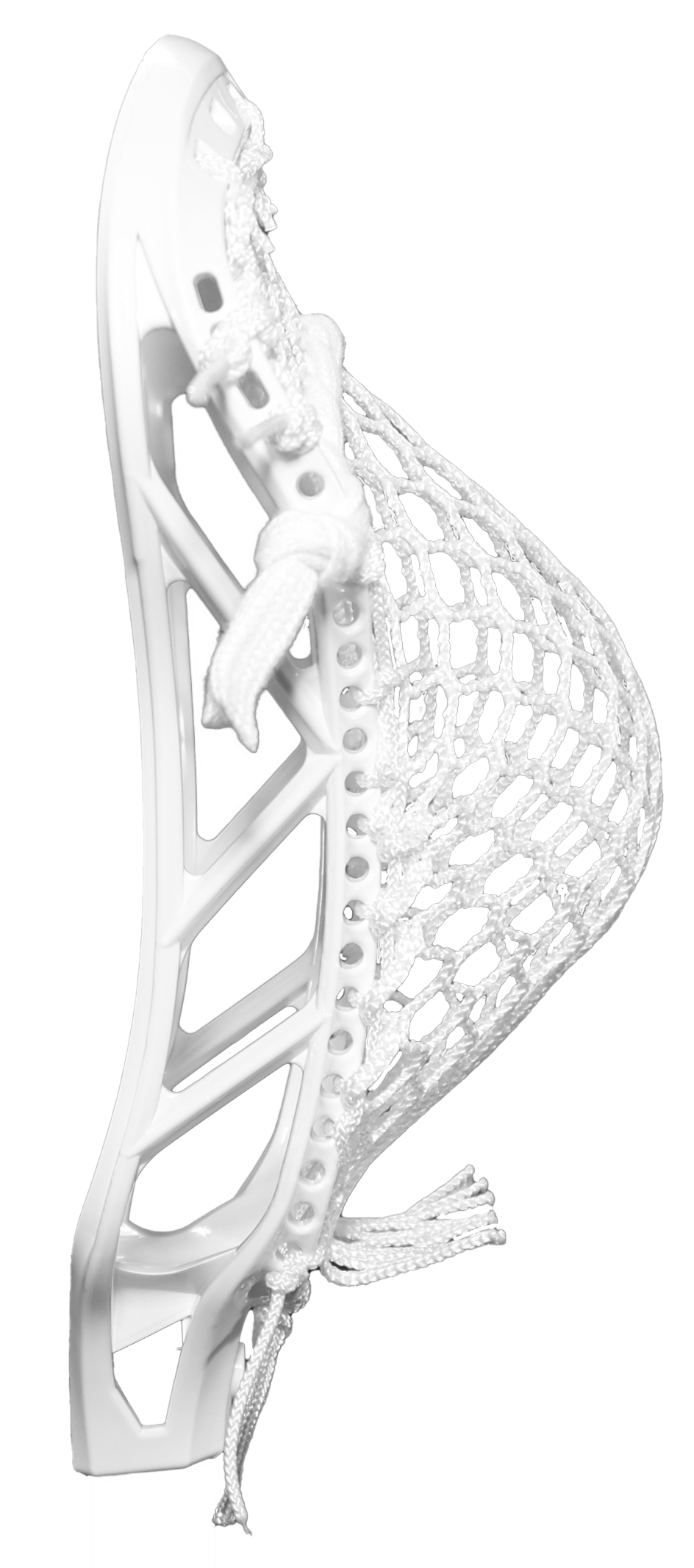 The Singularity (Strung)