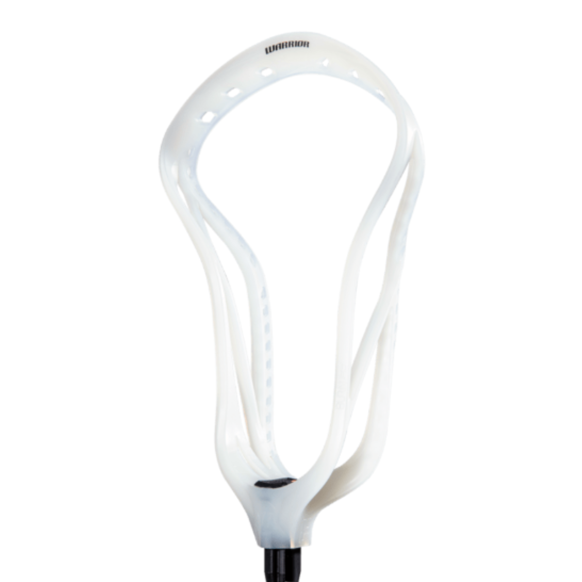 Warrior Burn FO Recovery Unstrung Head