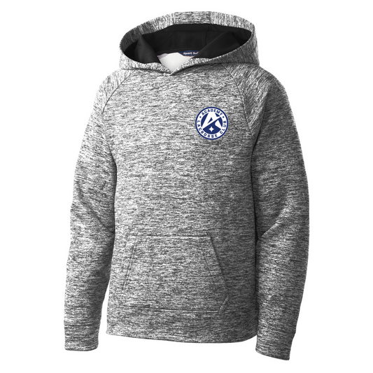 Youth SDLA Sport-Tek Performance Hoodie