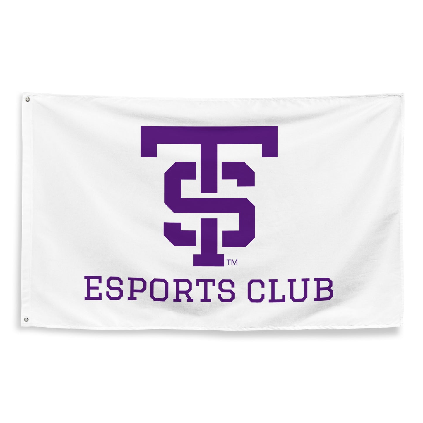 UST eSports Wall Flag (1 Sided)