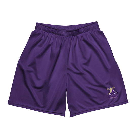 Adult/Youth Amsterdam Lacrosse Mesh Shorts