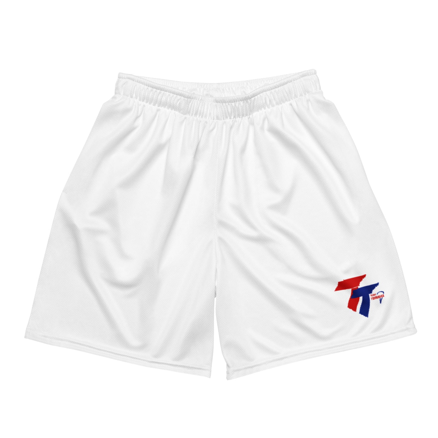 Adult Team TN Performance Mesh Shorts