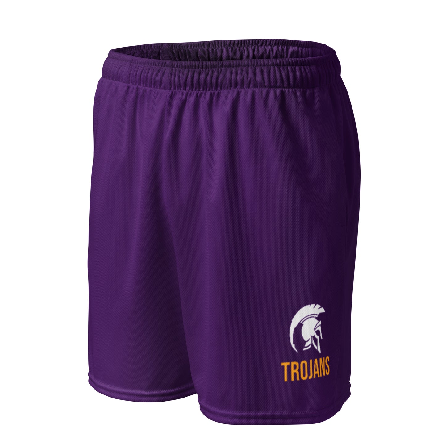 Adult Whitehall School Mesh Pocketed Shorts
