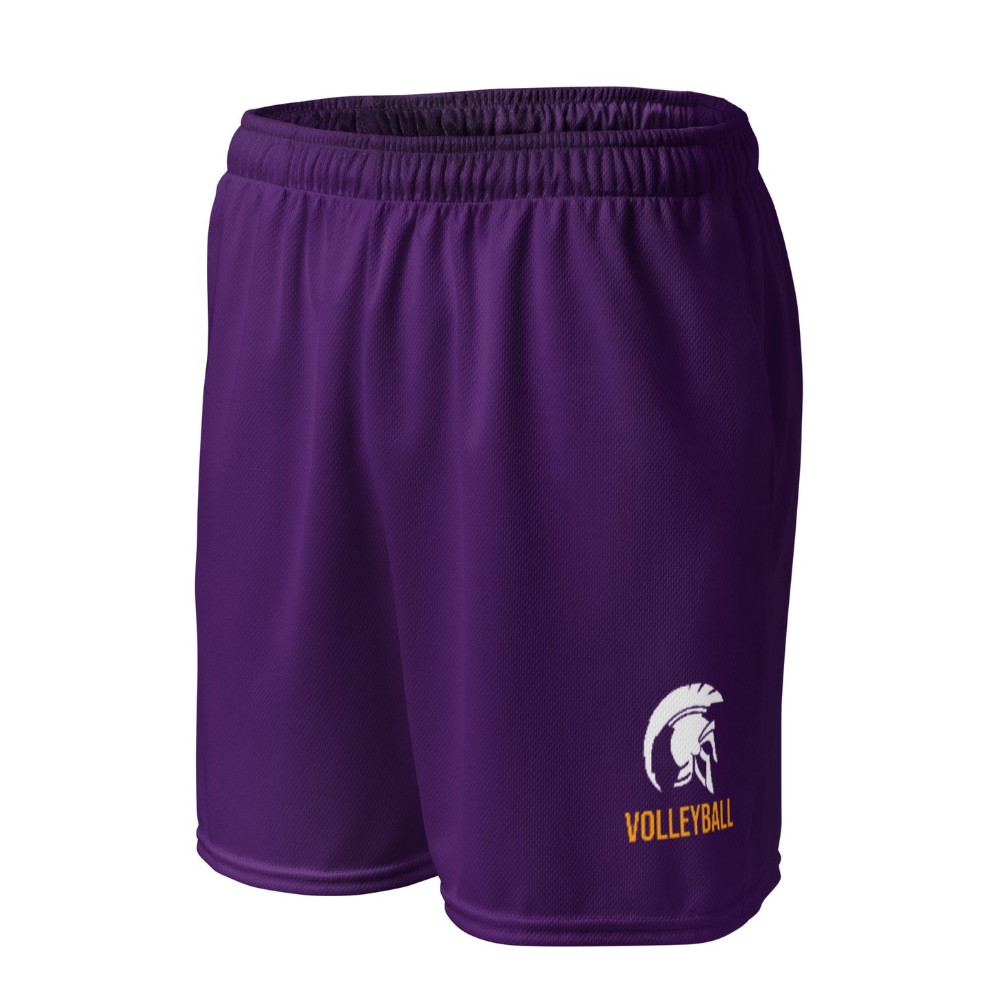 Adult Whitehall Volleyball Mesh Pocketed Shorts