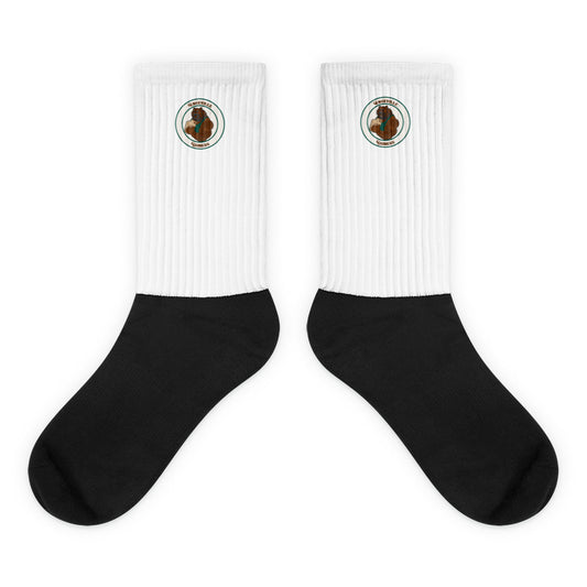 Knoxville Shiners Crew Socks