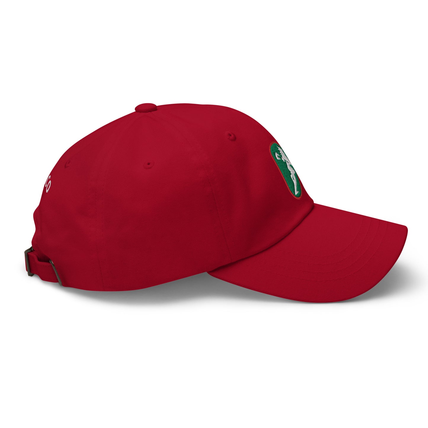 Team Mexico Box Yupoong Classic Dad Hat