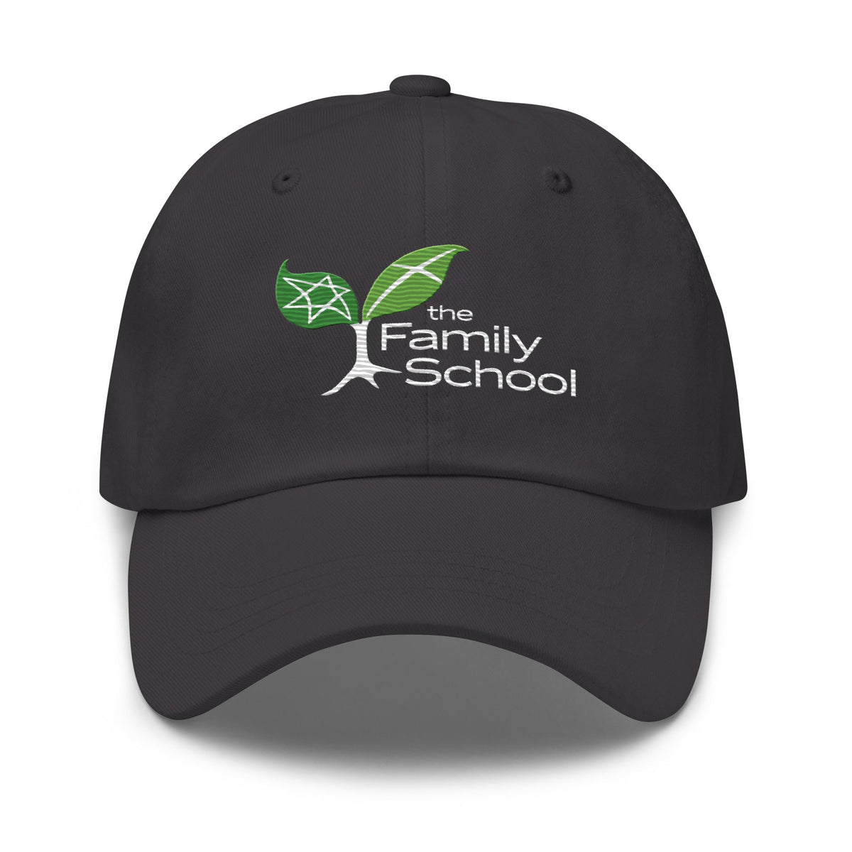 Family School Classic Dad Hat