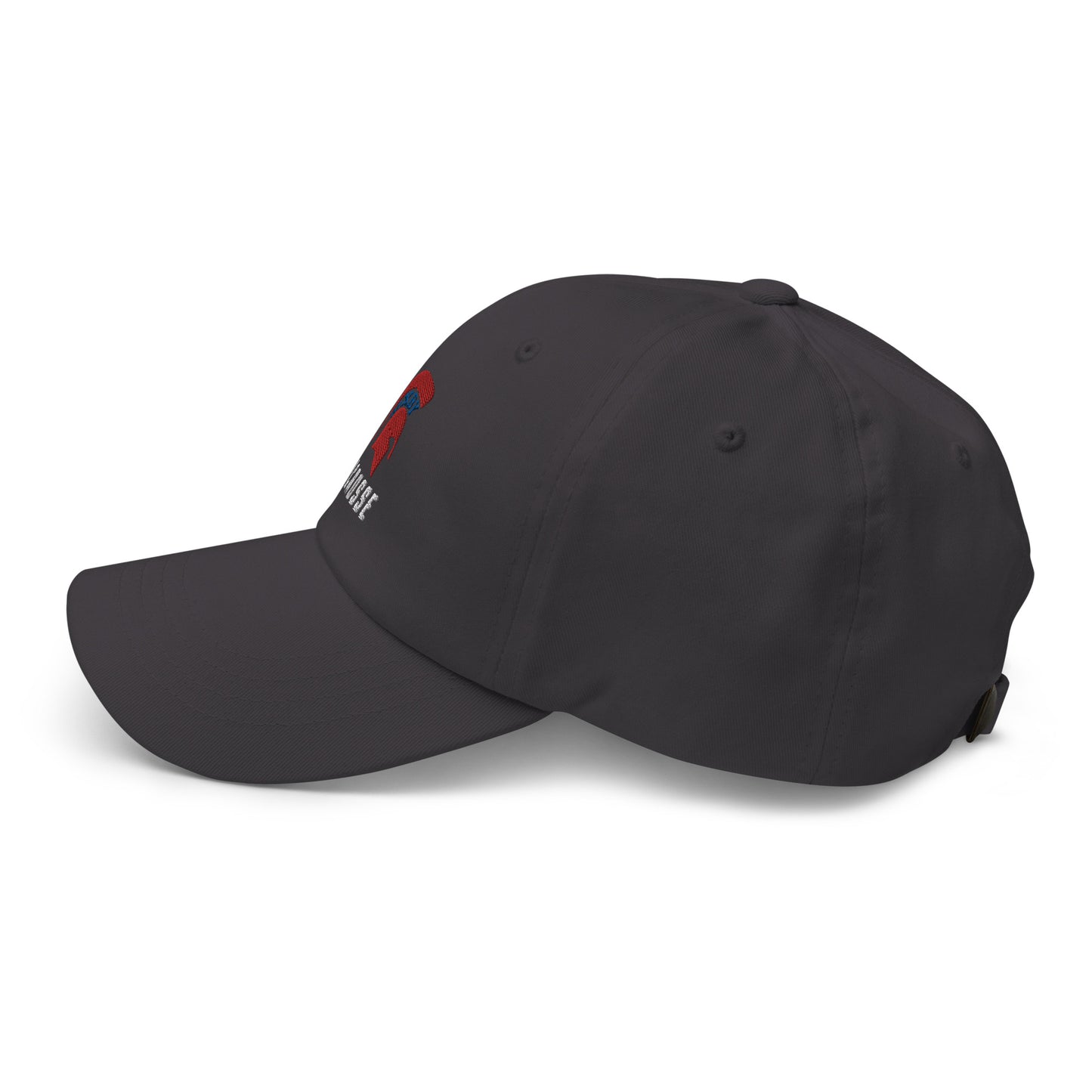 Bixby Spartan Classic Dad Hat