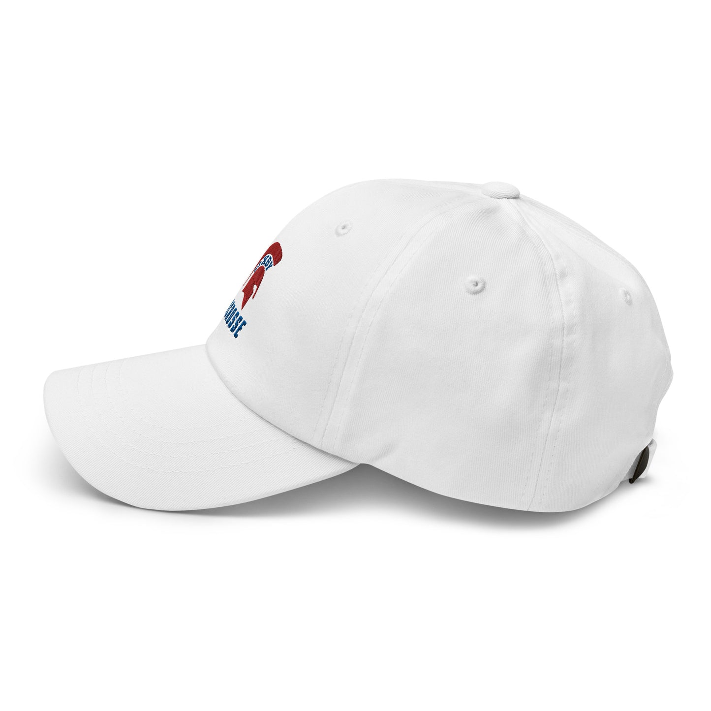 Bixby Spartan Classic Dad Hat