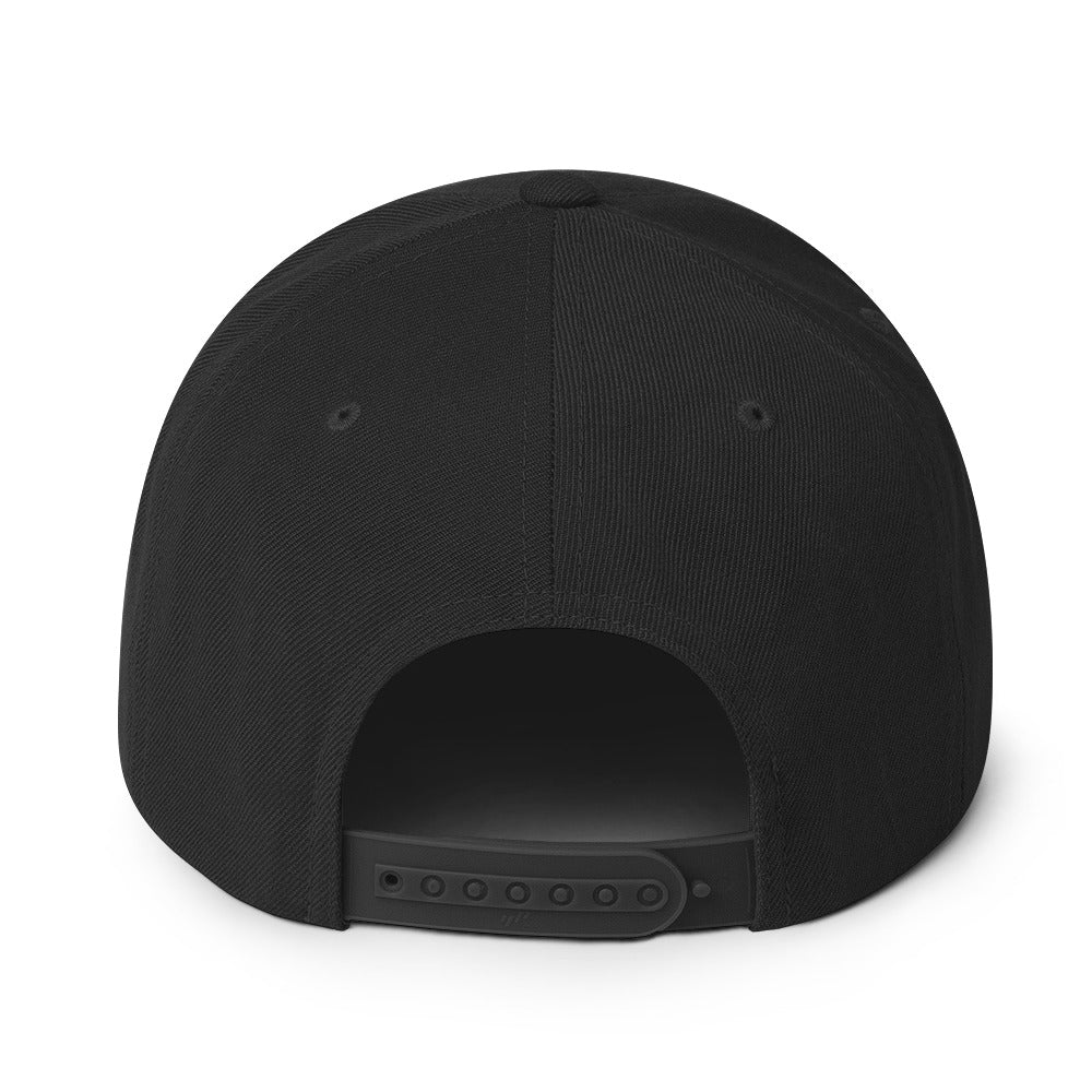 Drip Lacrosse Snapback Hat