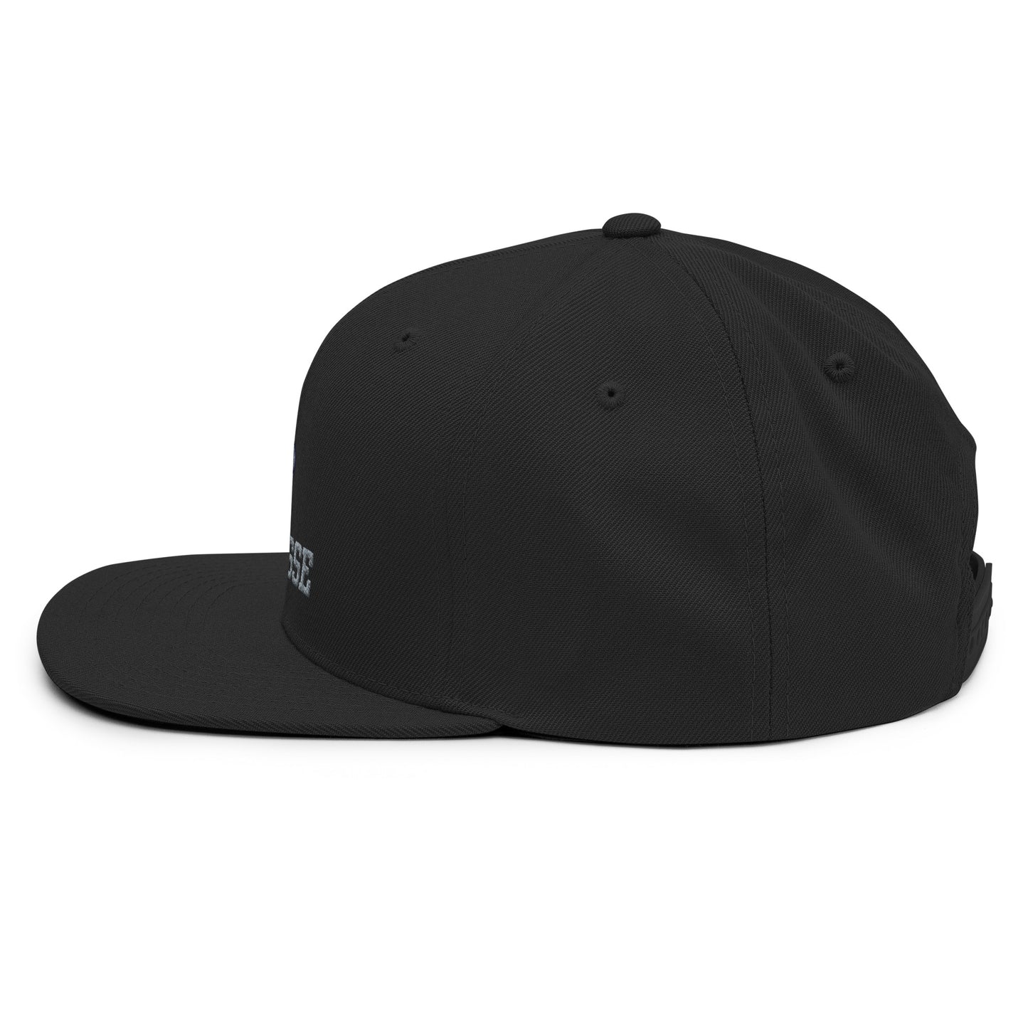 Corner Canyon Snapback Hat
