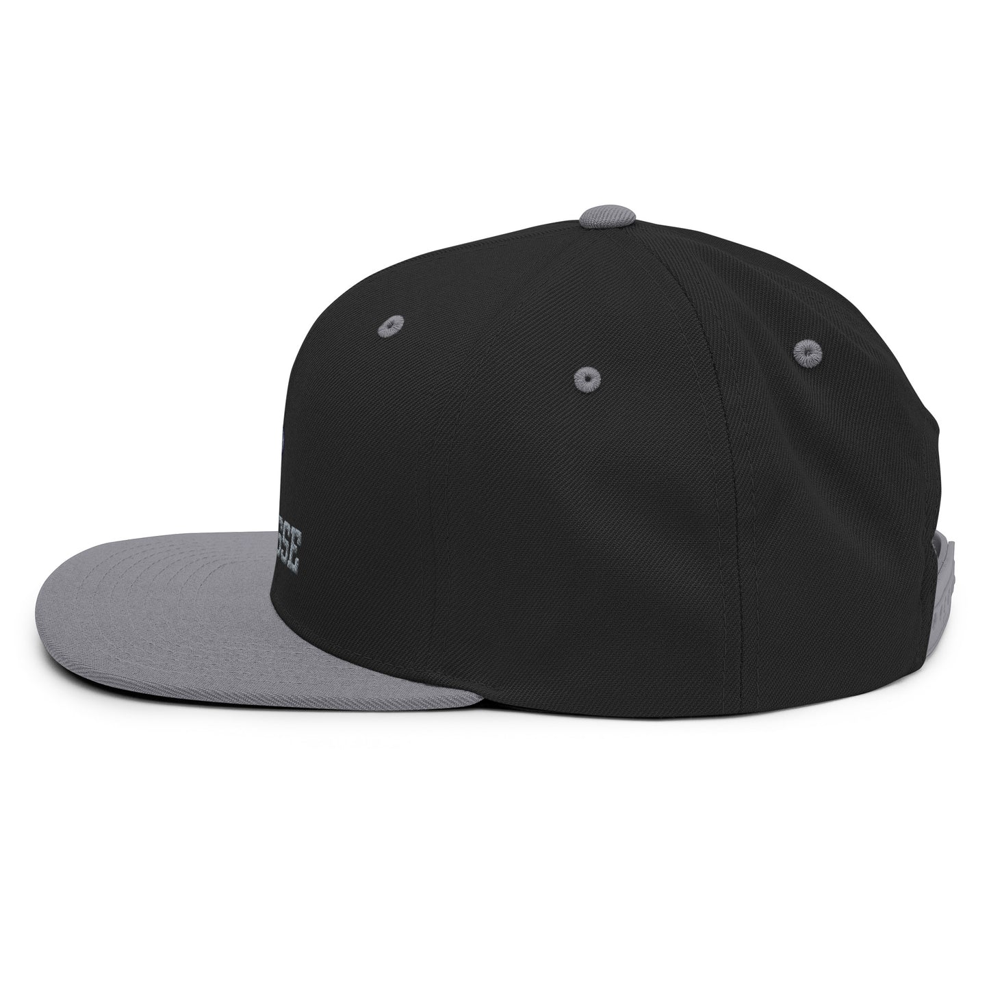 Corner Canyon Snapback Hat