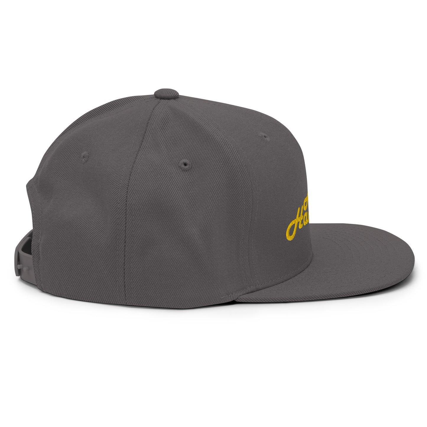 Banana Hammocks Snapback Hat