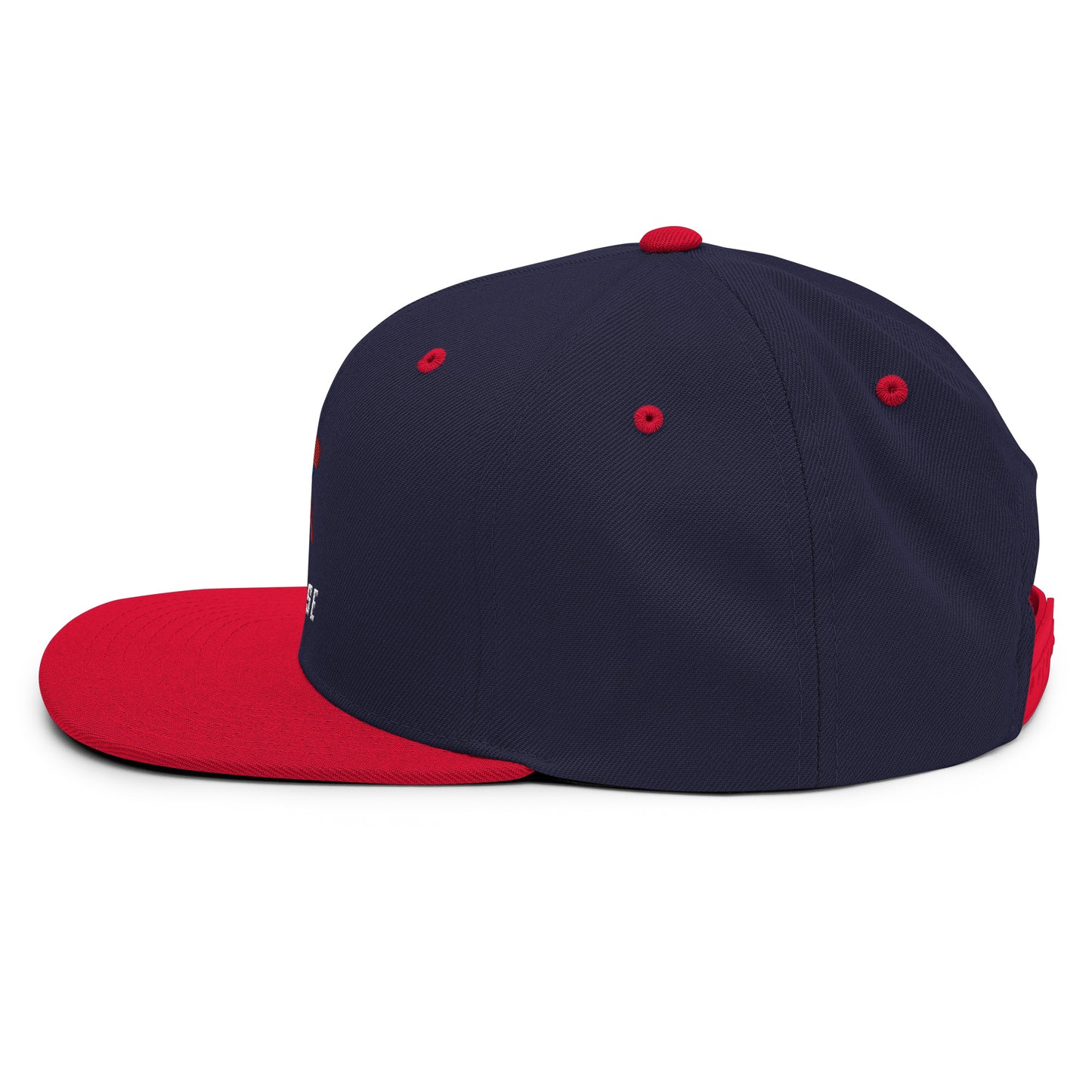 Bixby Spartan Snapback Hat