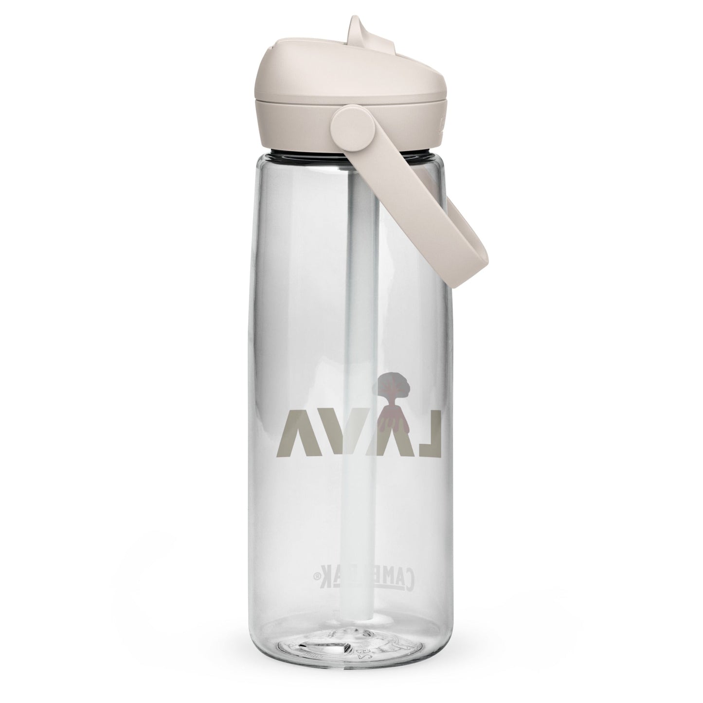 CamelBak Sports Water Bottle (25 oz)