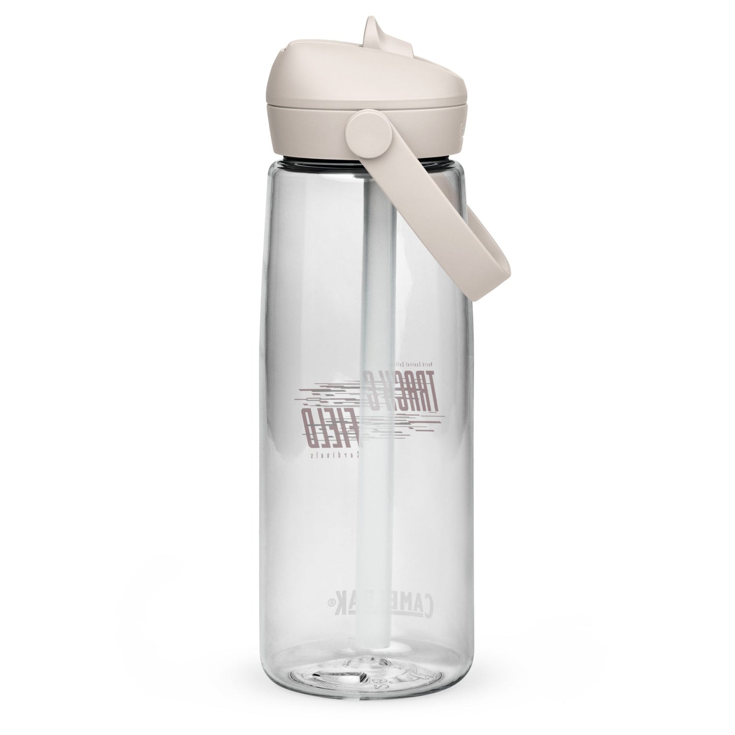 CamelBak Sports Water Bottle (25 oz)
