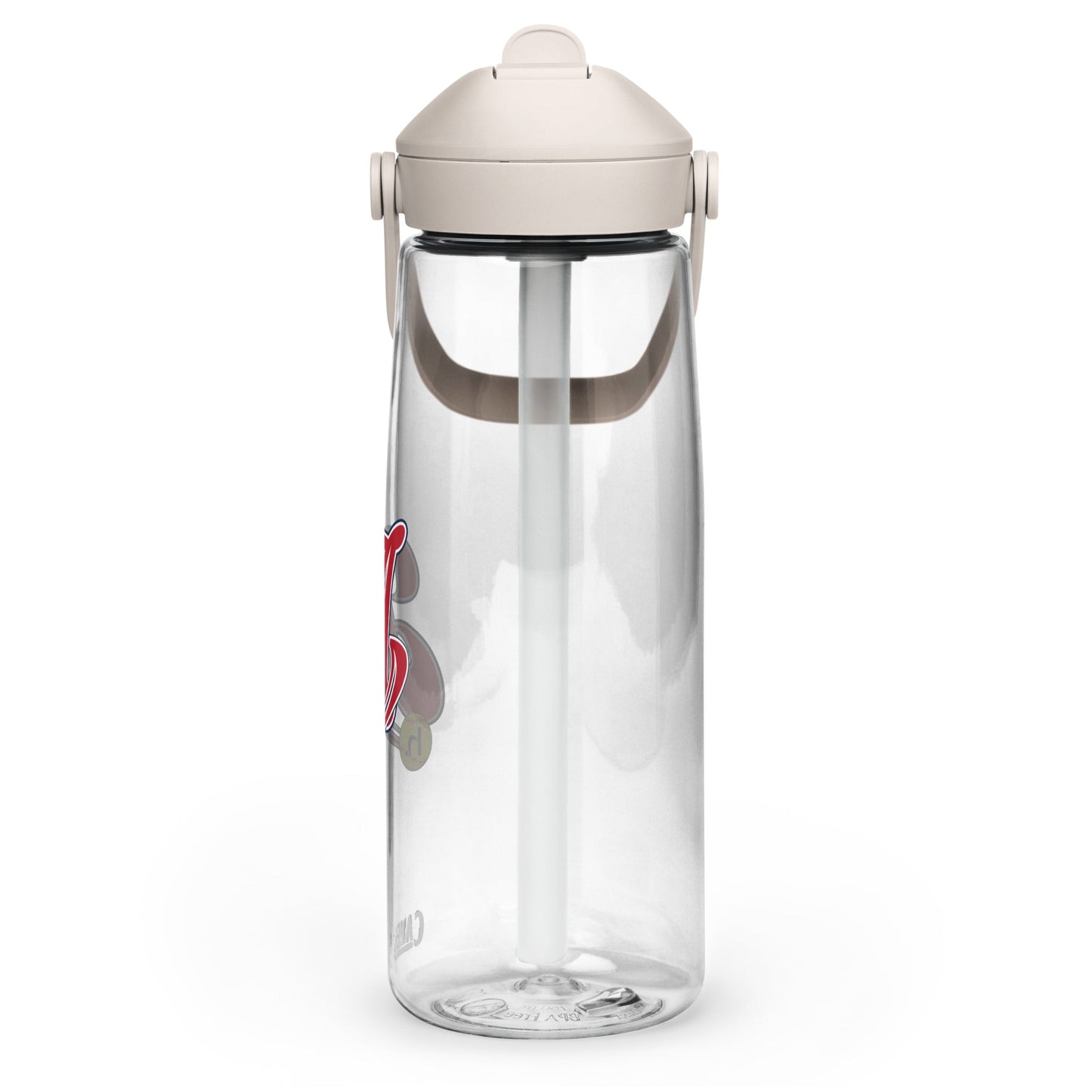 CamelBak Sports Water Bottle (25 oz)