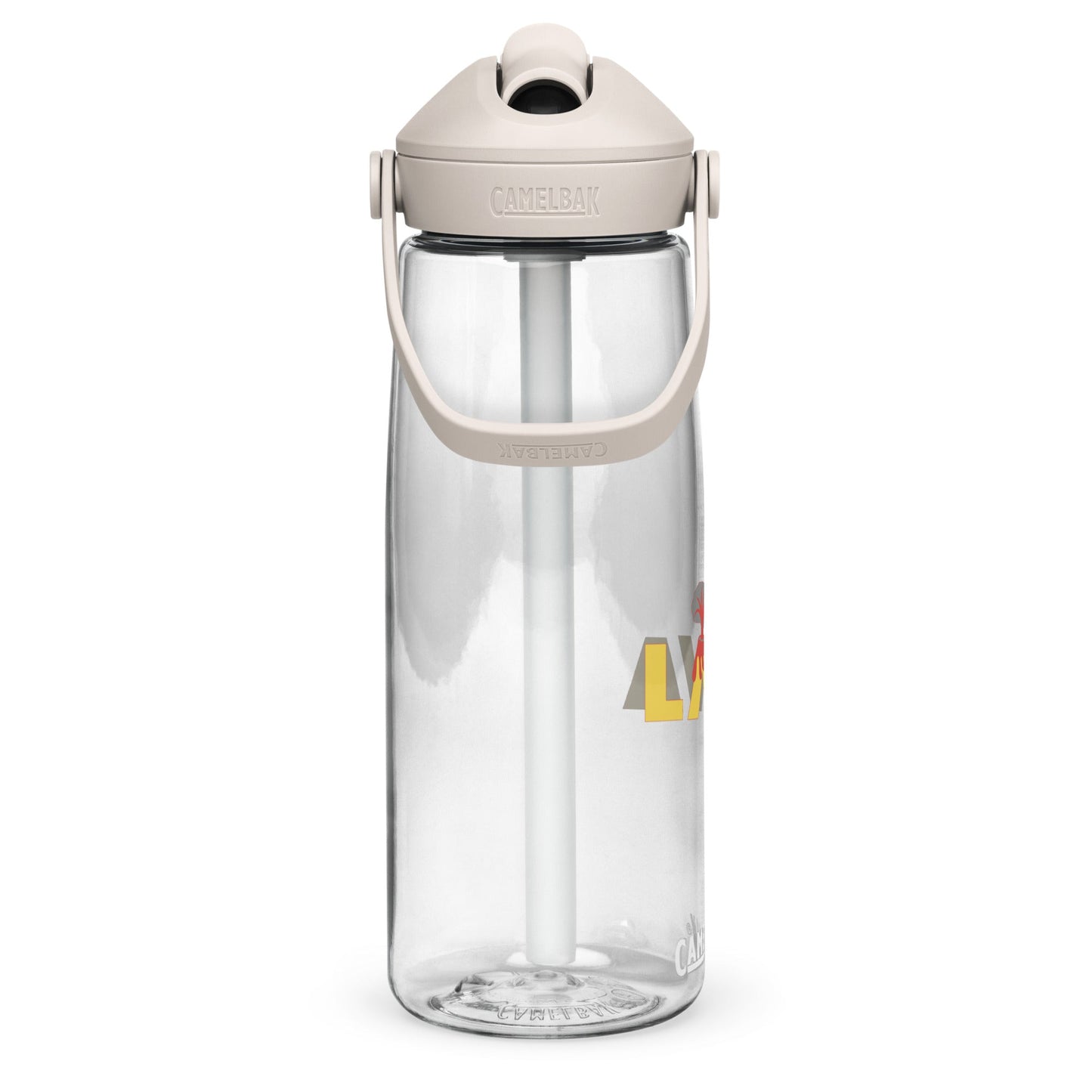 CamelBak Sports Water Bottle (25 oz)