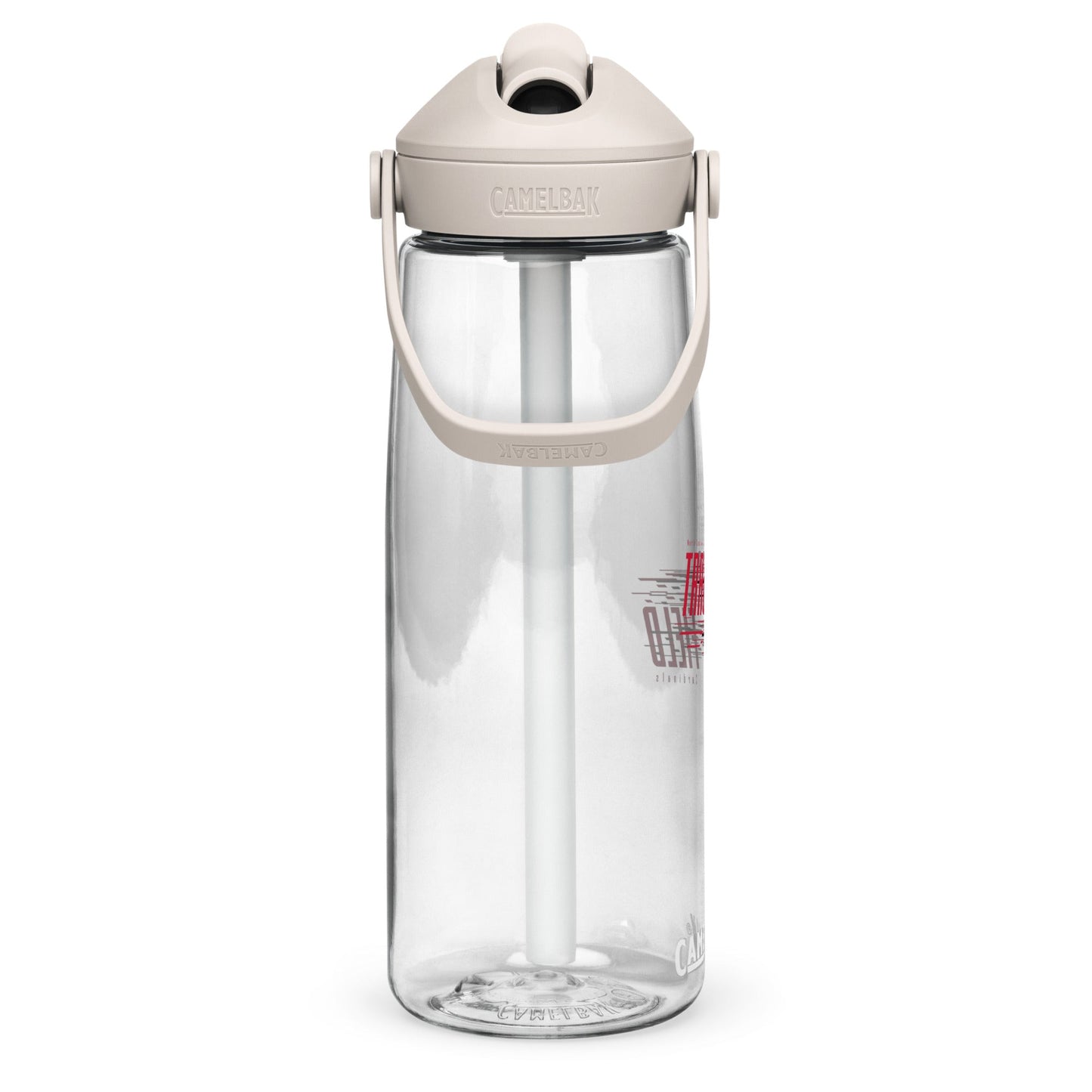 CamelBak Sports Water Bottle (25 oz)