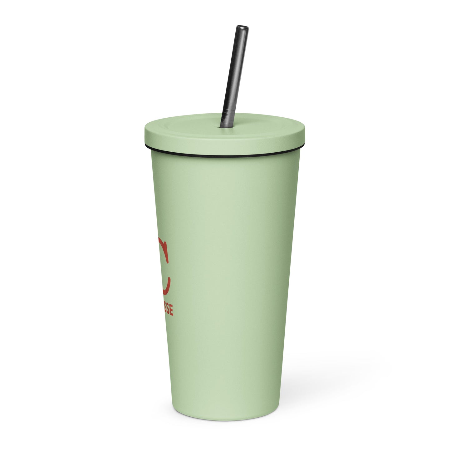 ECYL Insulated Tumbler With A Straw