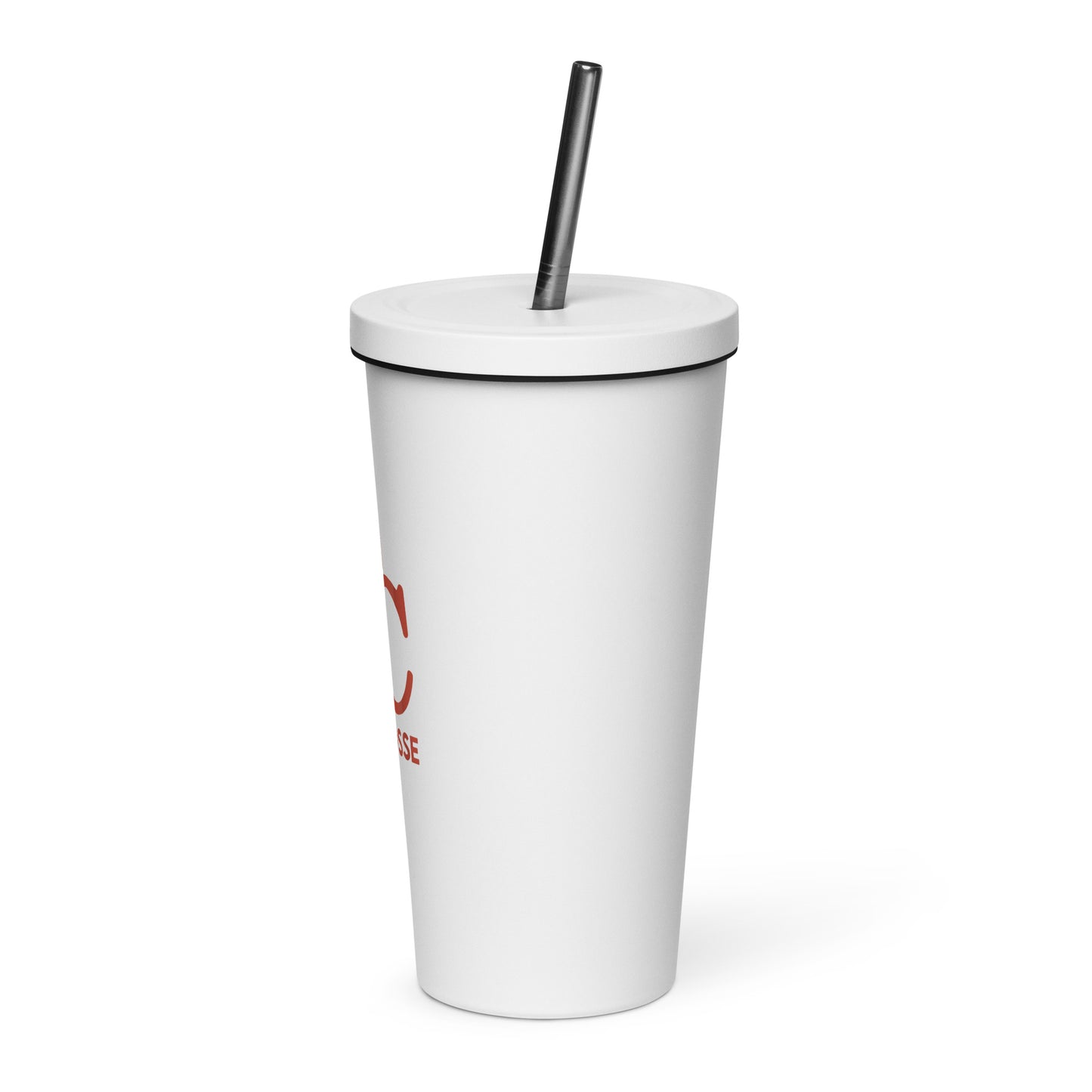 ECYL Insulated Tumbler With A Straw