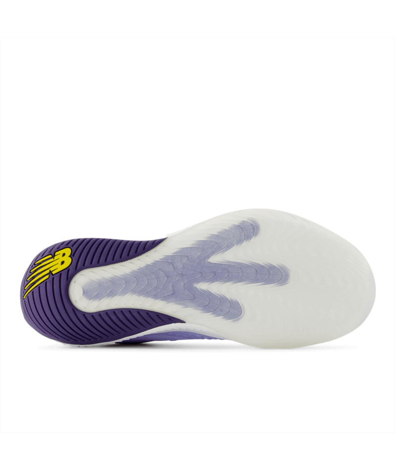 FuelCell 996v6 - BOYSENBERRY
