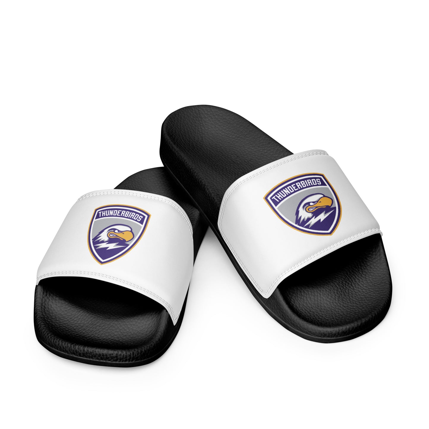 Men’s Thunderbirds Hockey Slides