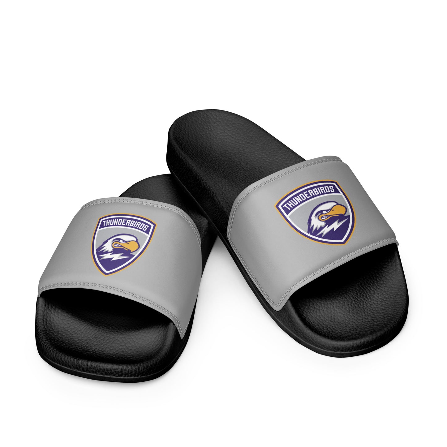 Men’s Thunderbirds Hockey Slides