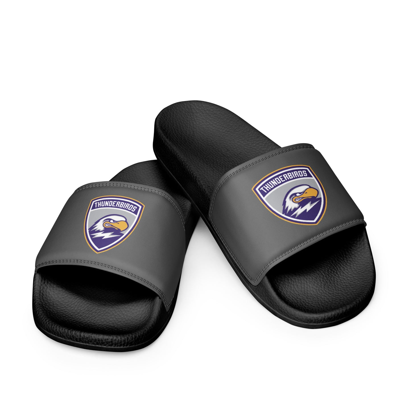 Men’s Thunderbirds Hockey Slides