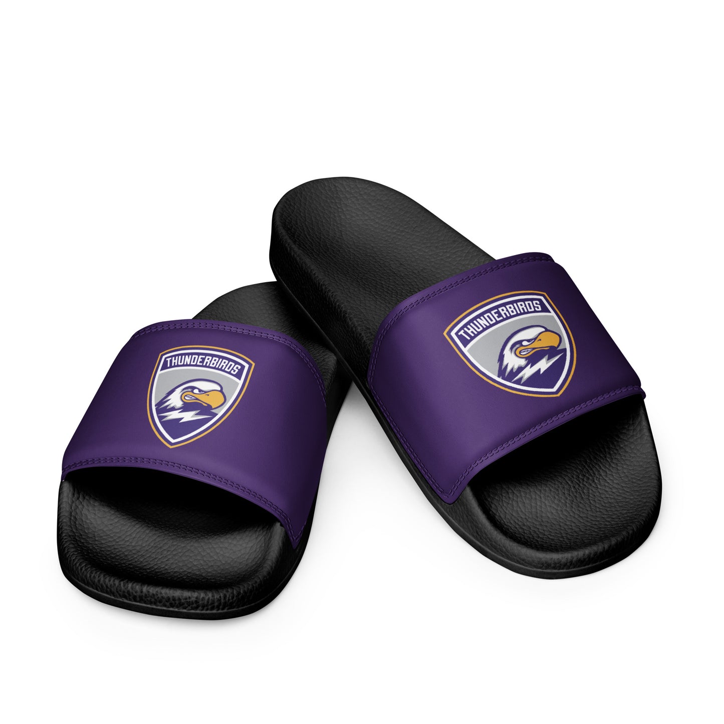Men’s Thunderbirds Hockey Slides