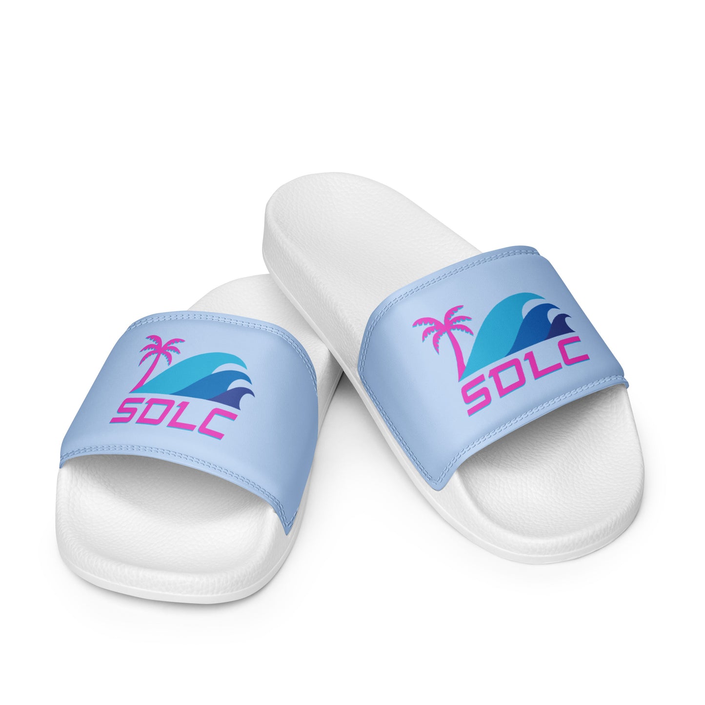 Adult SDLC Slides