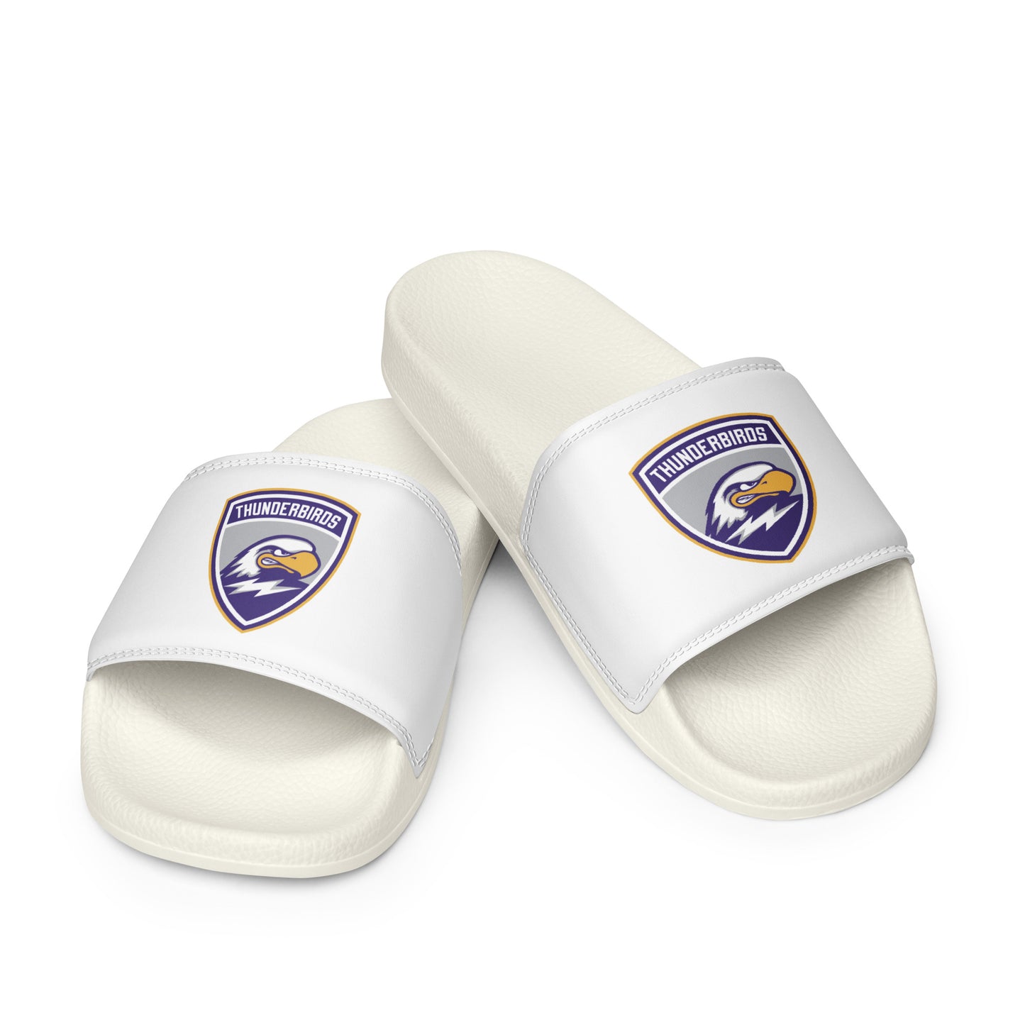 Men’s Thunderbirds Hockey Slides