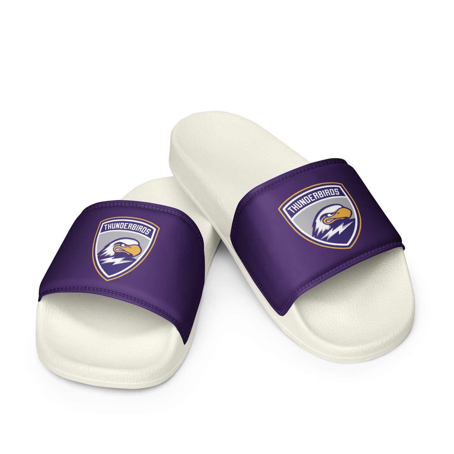 Men’s Thunderbirds Hockey Slides