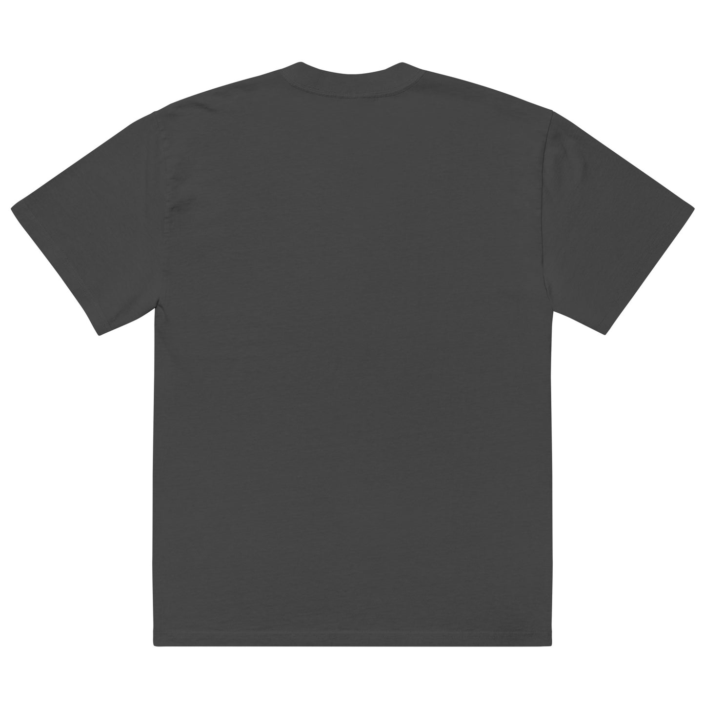 Adult The Brotherhood AS Colour Oversized Faded T-shirt