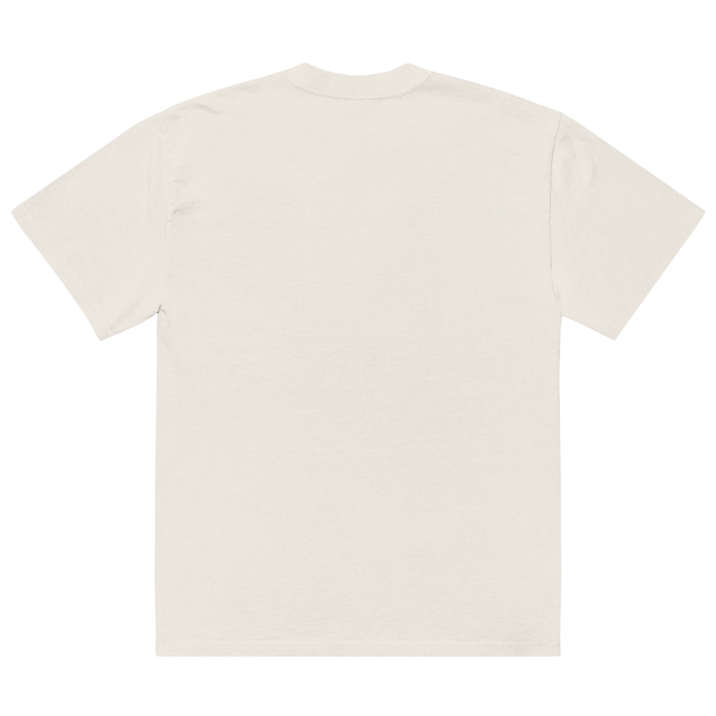 Adult The Brotherhood AS Colour Oversized Faded T-shirt