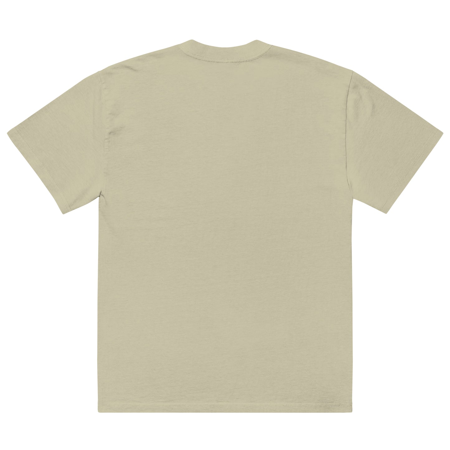 Adult The Brotherhood AS Colour Oversized Faded T-shirt