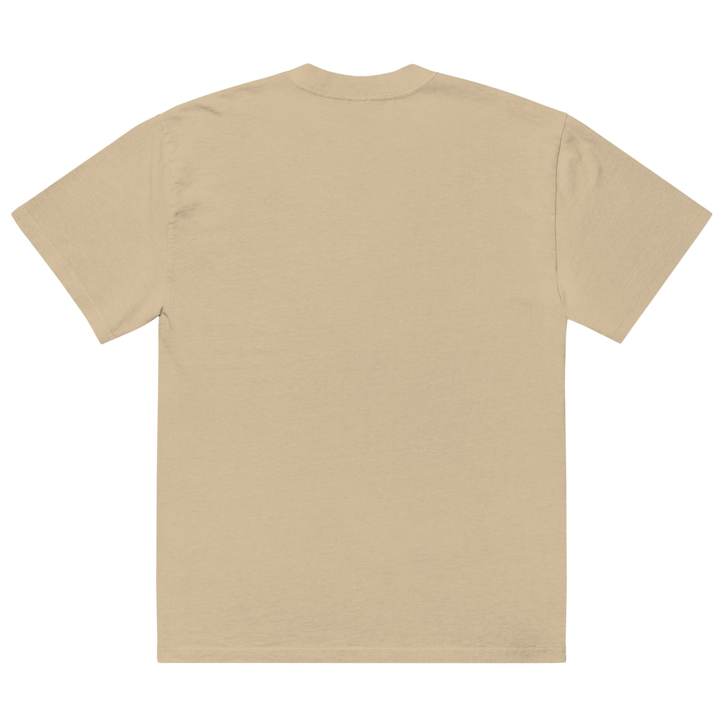 Adult The Brotherhood AS Colour Oversized Faded T-shirt