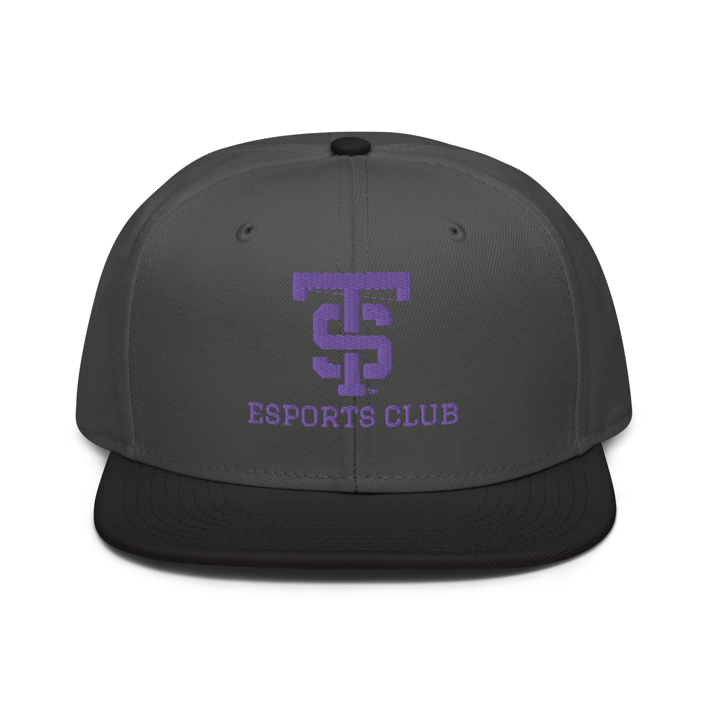 UST eSports Otto Cap Snapback