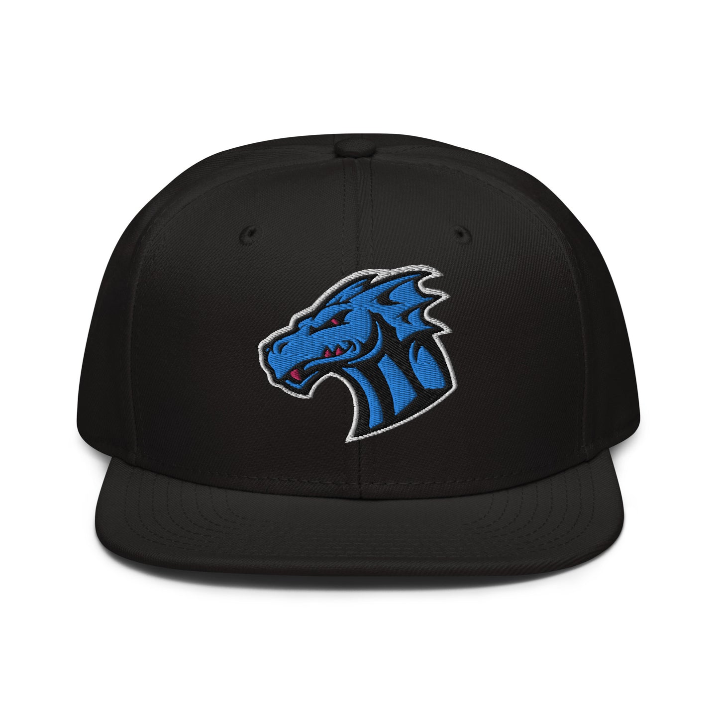 Water Dragons LC Otto Cap Snapback Hat