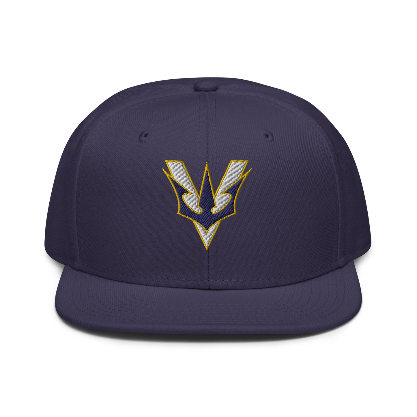 VGYL Otto Cap Snapback
