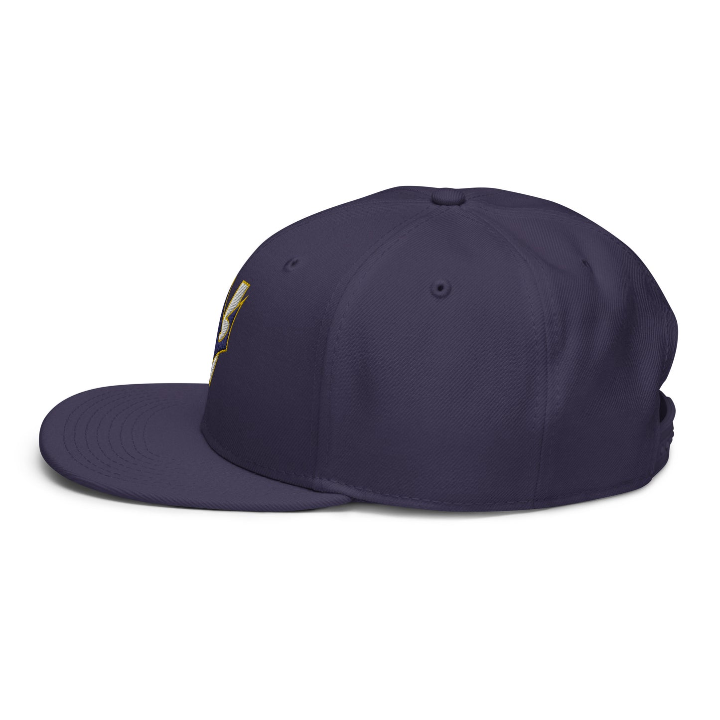 VGYL Otto Cap Snapback