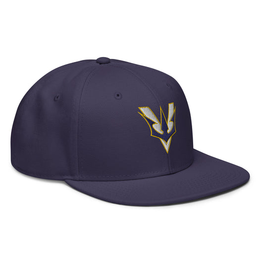 VGYL Otto Cap Snapback